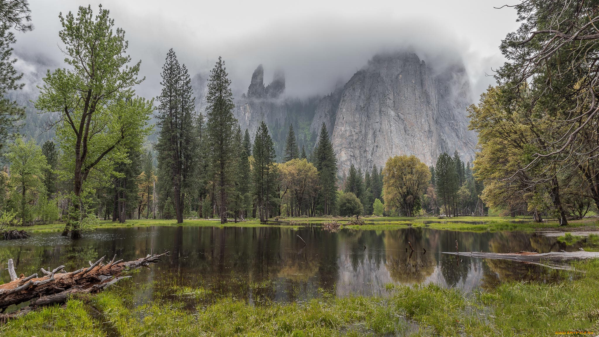 Nature 5. Лесные пейзажи фото высокого разрешения. Озеро в лесу прическа. Озеро среди леса прическа. Луг лес река 1152 864.